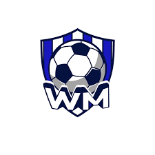 cn-sport-wanmei.com favicon